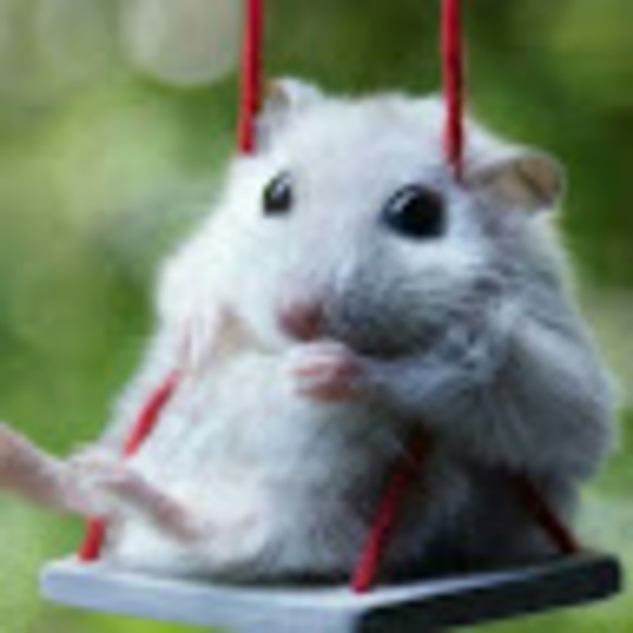 Meet your Posher, Lia - Picture 1 of 1